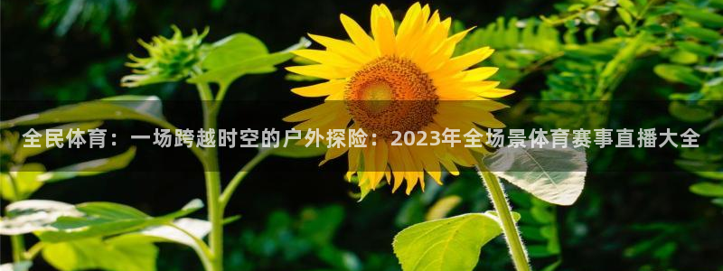 全民体育：一场跨越时空的户外探险：2023年全场景体育赛事直播大全