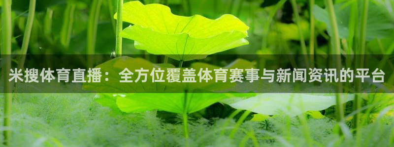 米搜体育直播：全方位覆盖体育赛事与新闻资讯的平台