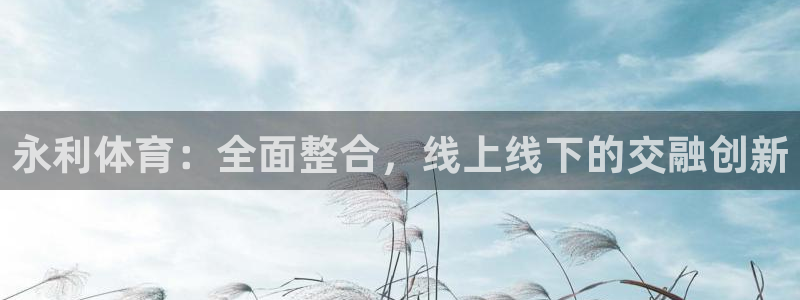 永利体育：全面整合，线上线下的交融创新