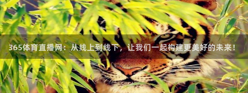 365体育直播网：从线上到线下，让我们一起构建更美好的未来！