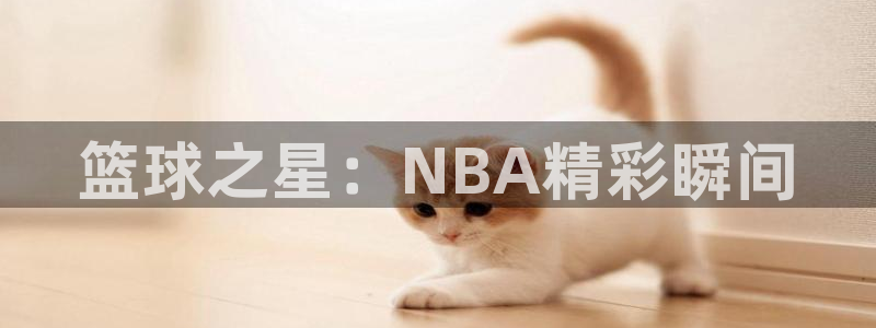 篮球之星：NBA精彩瞬间