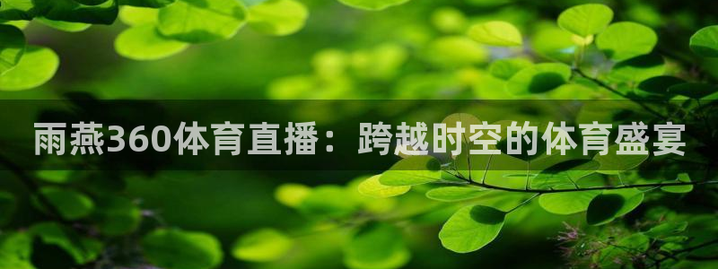雨燕360体育直播：跨越时空的体育盛宴