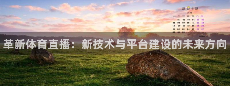 革新体育直播：新技术与平台建设的未来方向
