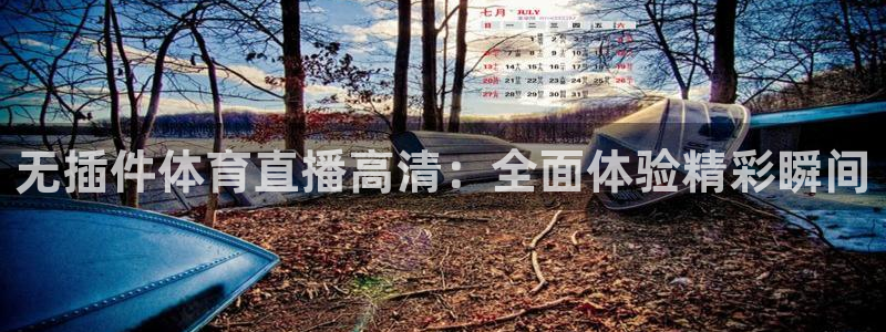 无插件体育直播高清：全面体验精彩瞬间