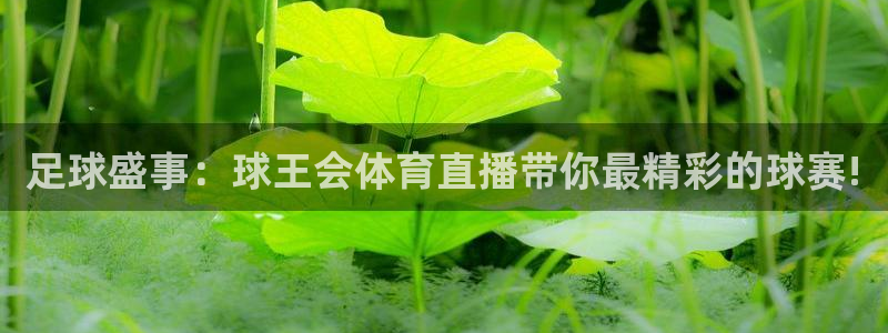 足球盛事：球王会体育直播带你最精彩的球赛!