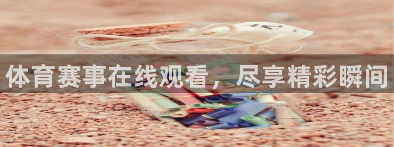体育赛事在线观看，尽享精彩瞬间