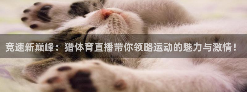竞速新巅峰：猎体育直播带你领略运动的魅力与激情！