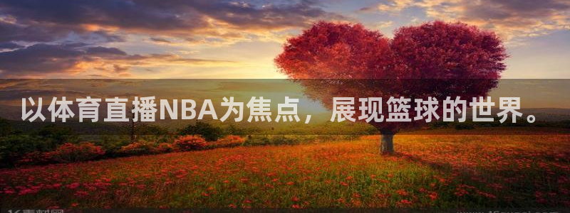 以体育直播NBA为焦点，展现篮球的世界。