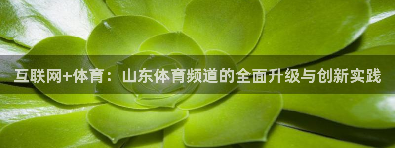 互联网+体育：山东体育频道的全面升级与创新实践