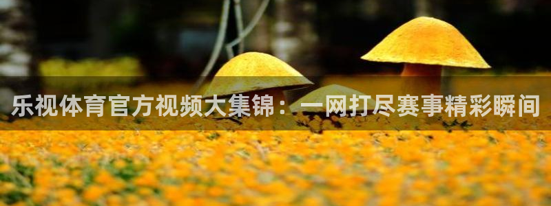 乐视体育官方视频大集锦：一网打尽赛事精彩瞬间
