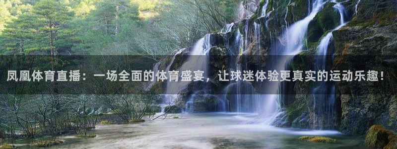 凤凰体育直播：一场全面的体育盛宴，让球迷体验更真实的运动乐趣！