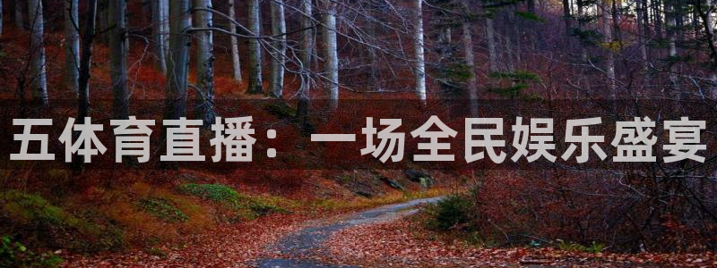 五体育直播：一场全民娱乐盛宴