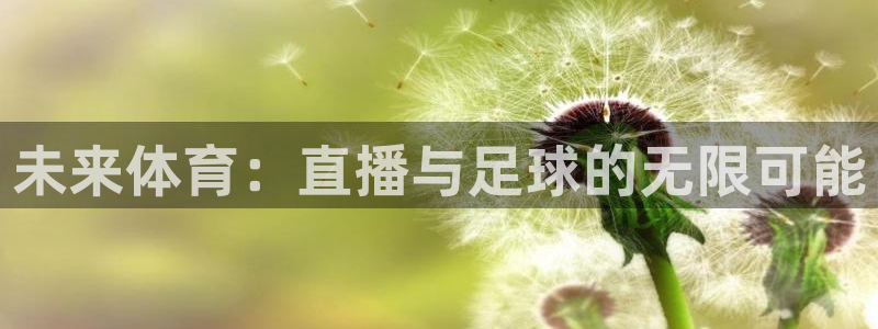 未来体育：直播与足球的无限可能