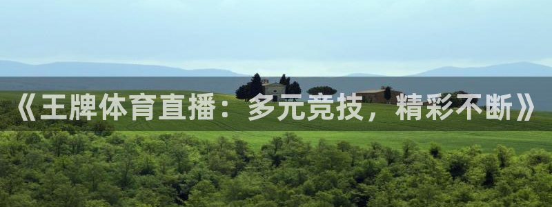 《王牌体育直播：多元竞技，精彩不断》